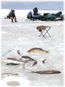 Winter fishing on the kama river near  Orel