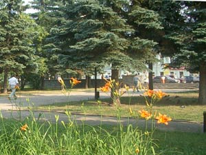Le parc et la rue Sibirskaya