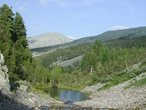 Mountain Tulym, northern Ural