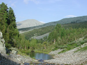 Berg Tulym, noordelijke Oeral