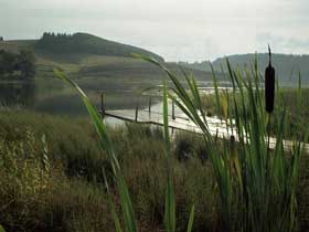 White mountain surroundings