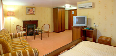 <Amaks Premier Hotel - Lux RENAISSANCE Double (with fireplace) - 1 room>