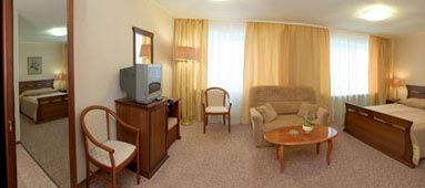<Amaks Premier Hotel - Lux RETRO Double - 1 room>
