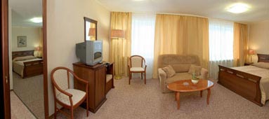 <Amaks Premier Hotel - Deluxe RETRO Double - 1 pice>